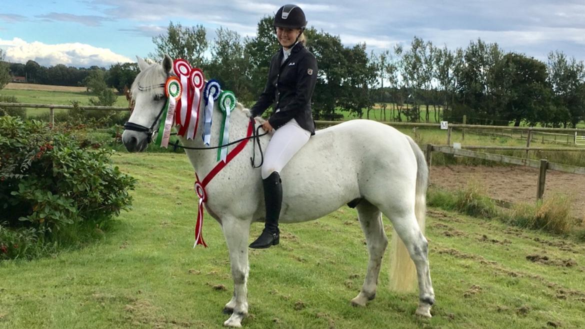 Connemara Asasara Hugin billede 4