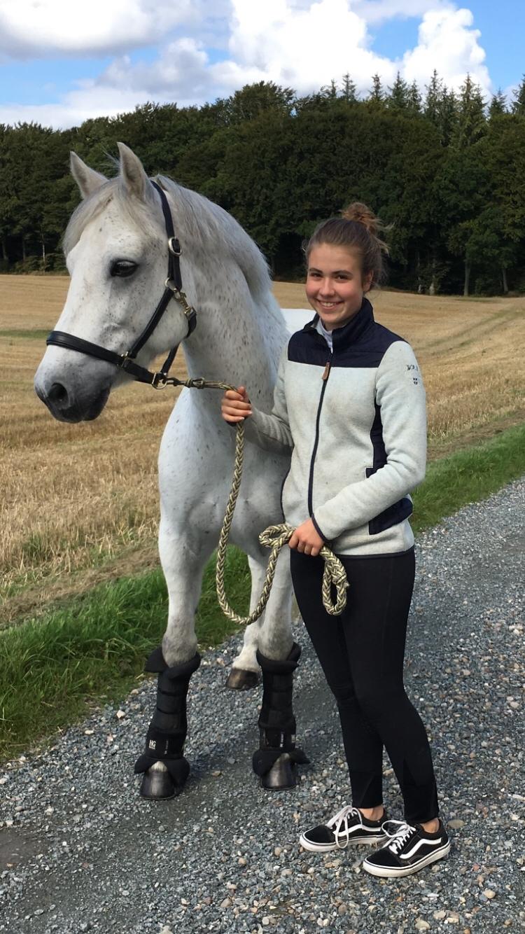 Connemara Asasara Hugin billede 6