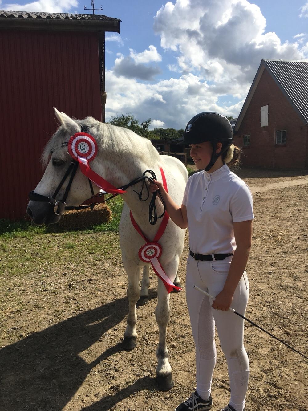 Connemara Asasara Hugin billede 11