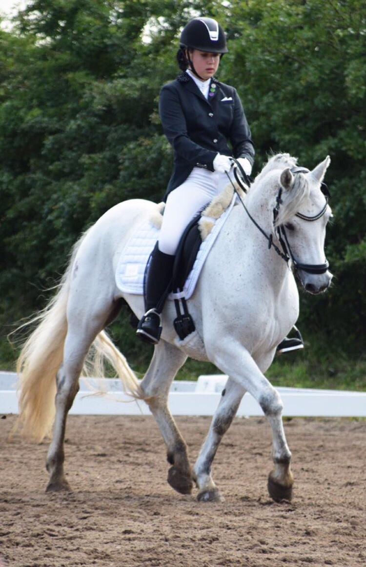 Connemara Asasara Hugin billede 17