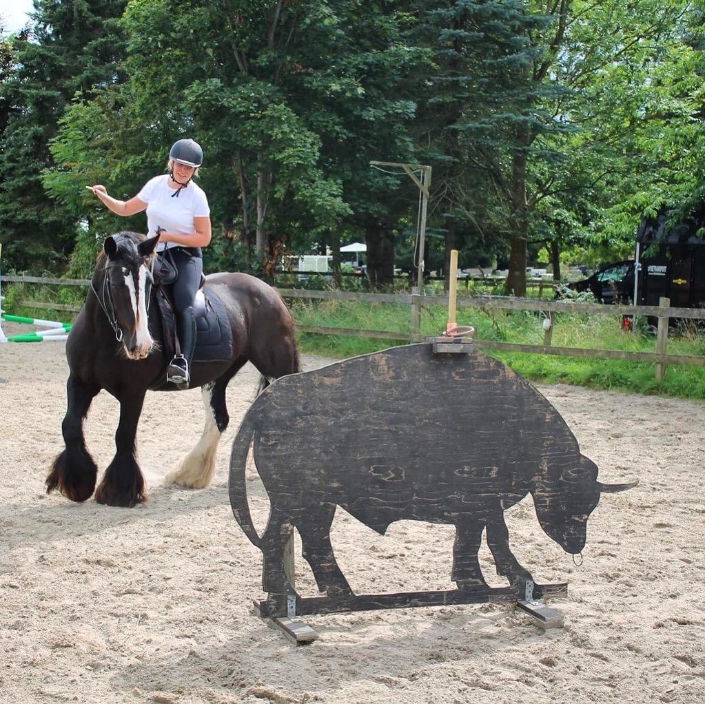 Irish Cob Lady Giga Of Ireland billede 2
