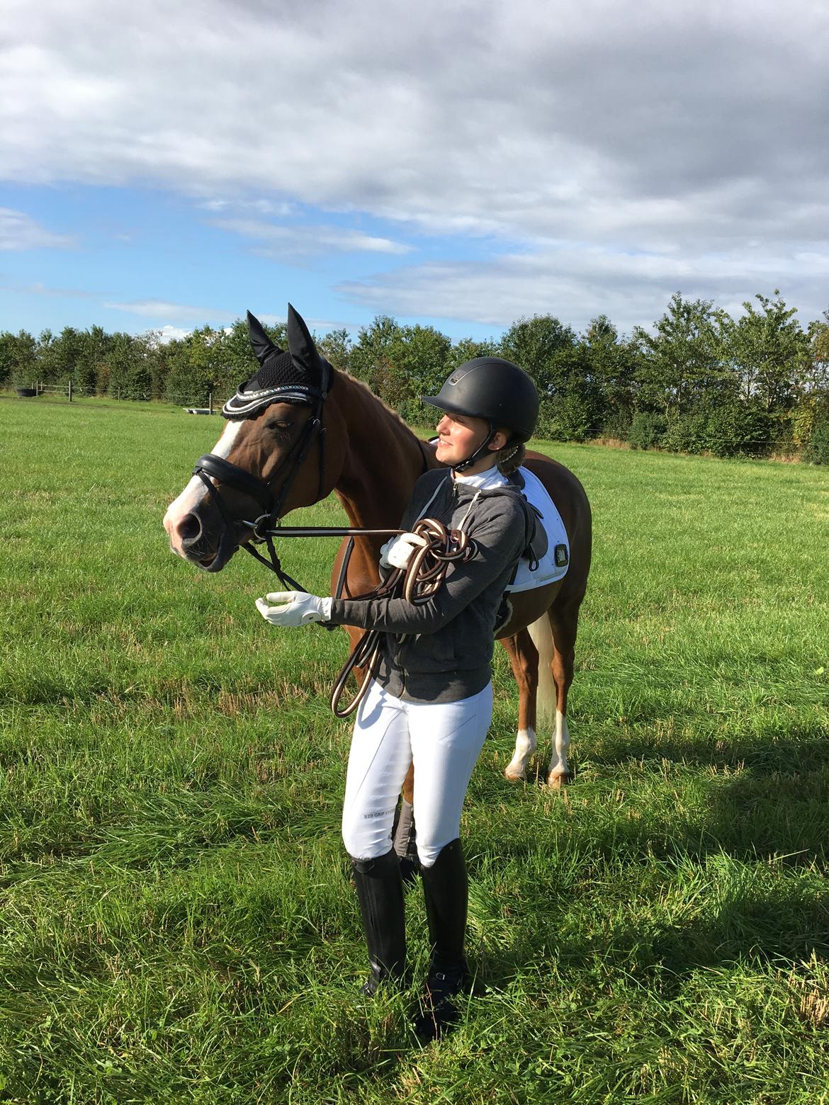 Welsh Partbred (Sec F) Madonna billede 13