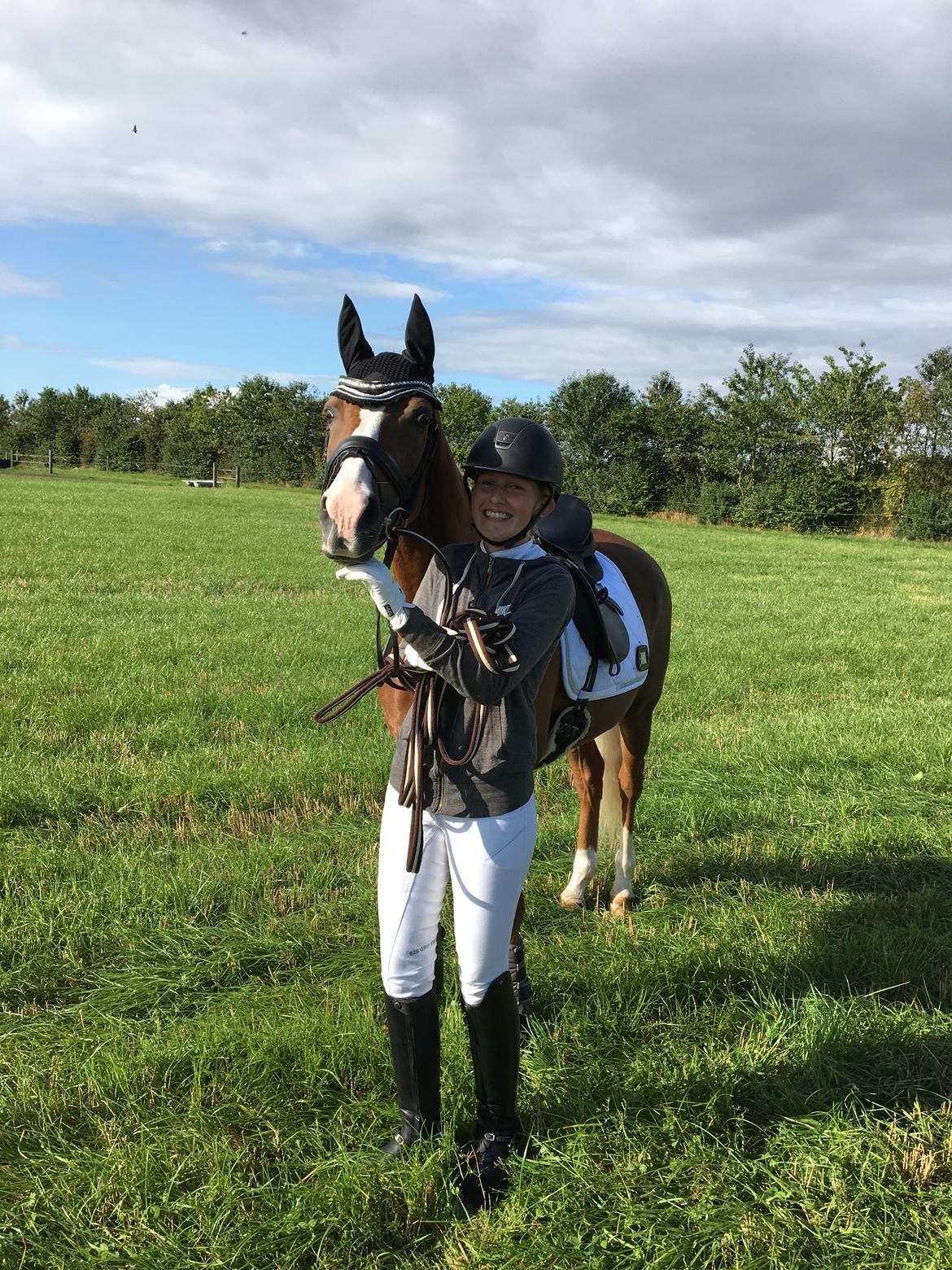 Welsh Partbred (Sec F) Madonna billede 31