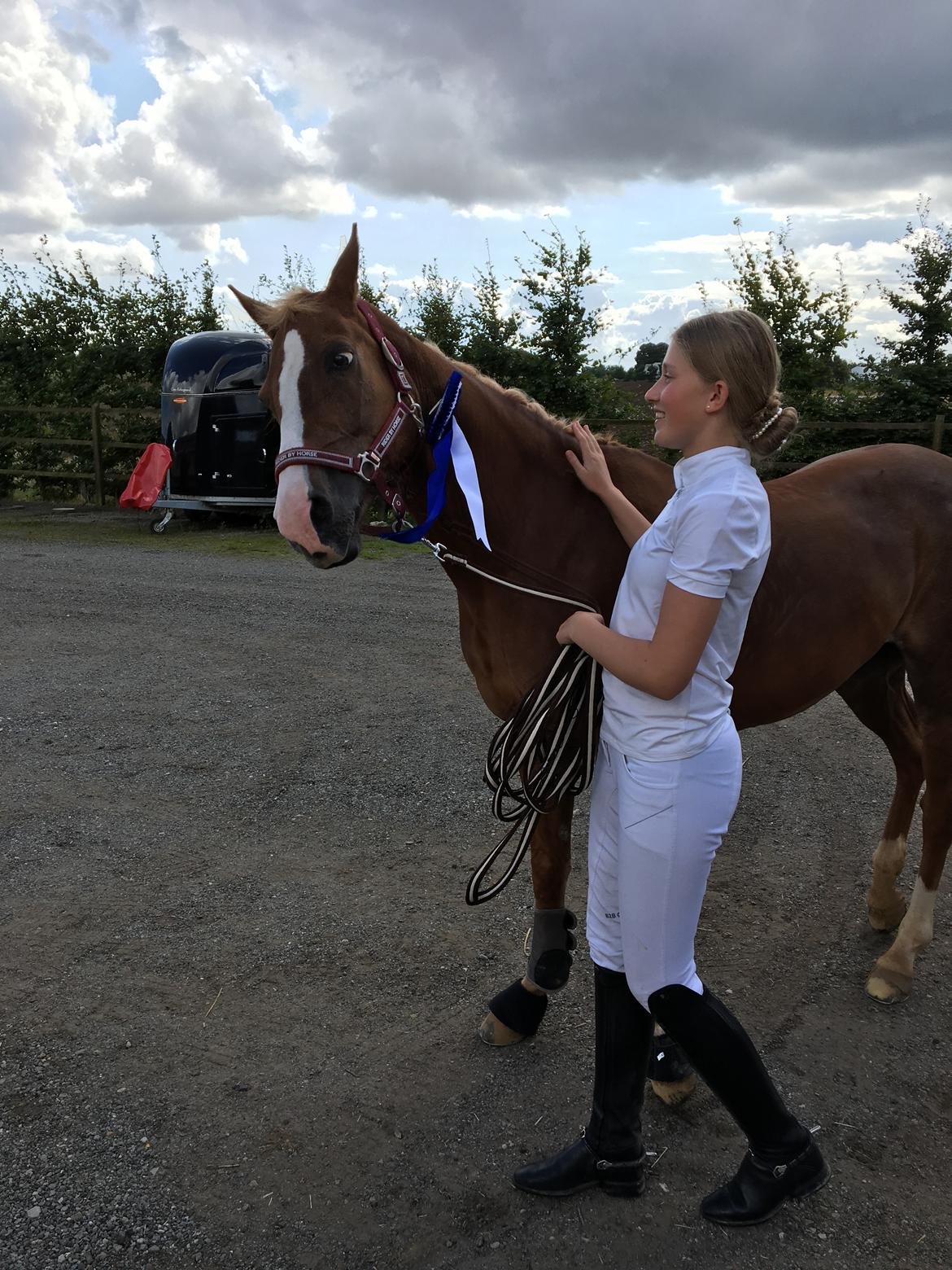 Welsh Partbred (Sec F) Madonna billede 32