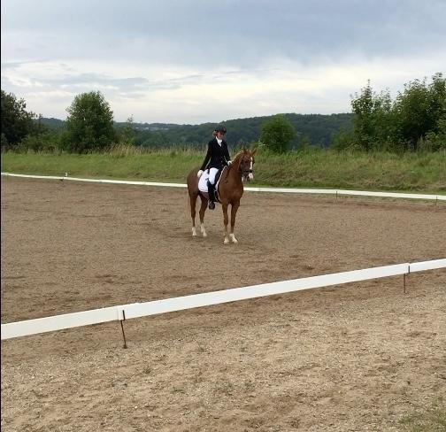 Welsh Partbred (Sec F) Madonna billede 33