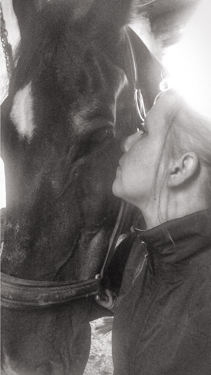 Oldenborg Emma (Dot) Hestbækgård - Det er ikke et farvel, men et på gensyn <3 Tak for alt min dejlige pige <3 billede 2