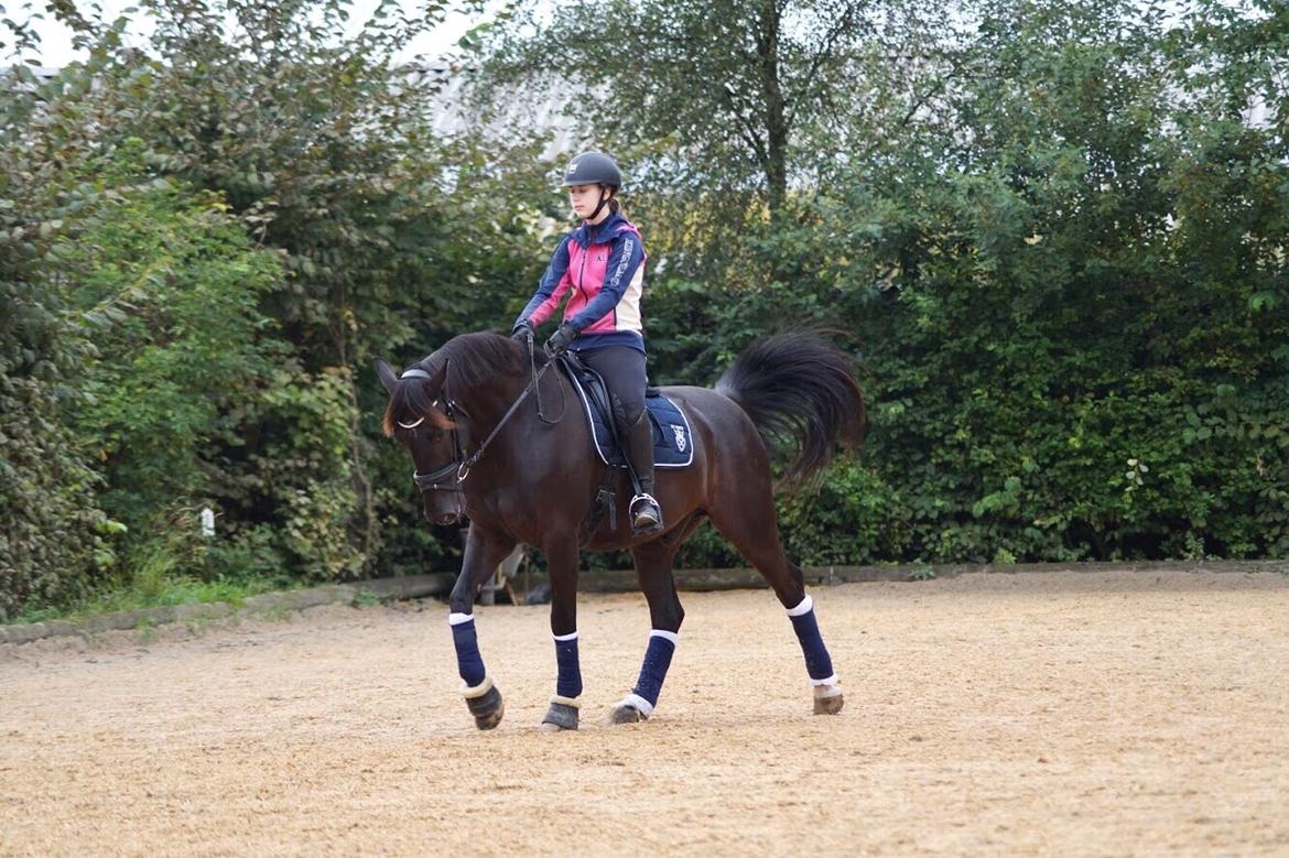 Oldenborg Fillip billede 17