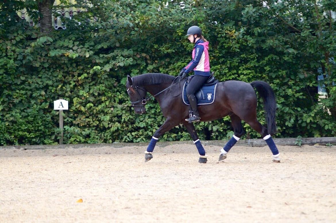 Oldenborg Fillip billede 18