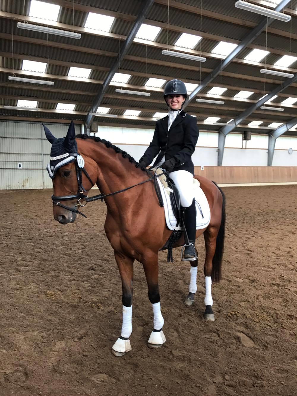 Sportsaraber (A) Aragorn's Choice billede 6