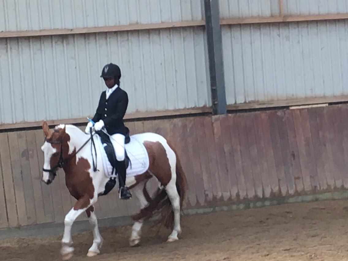 Anden særlig race Smukke Lille Luna billede 15