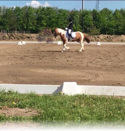 Anden særlig race Smukke Lille Luna billede 17