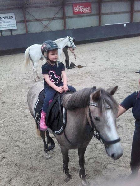 Anden særlig race Elmegaardens tin-tin billede 2