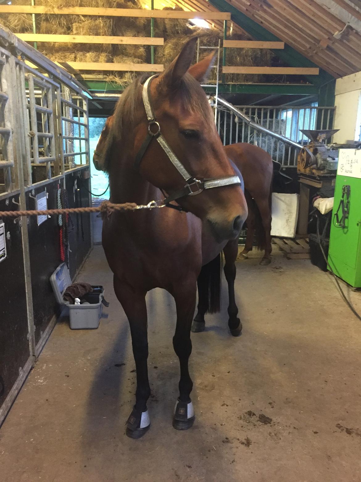 Traver SOLGT*   Bravida Holmsminde billede 10