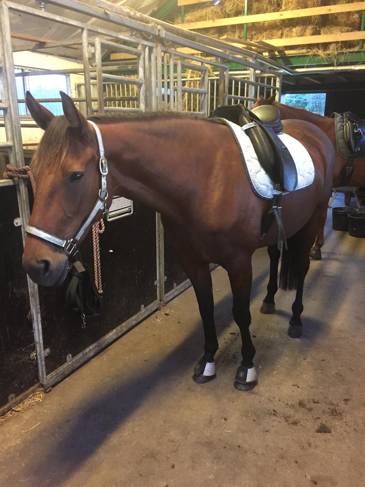 Traver SOLGT*   Bravida Holmsminde billede 13