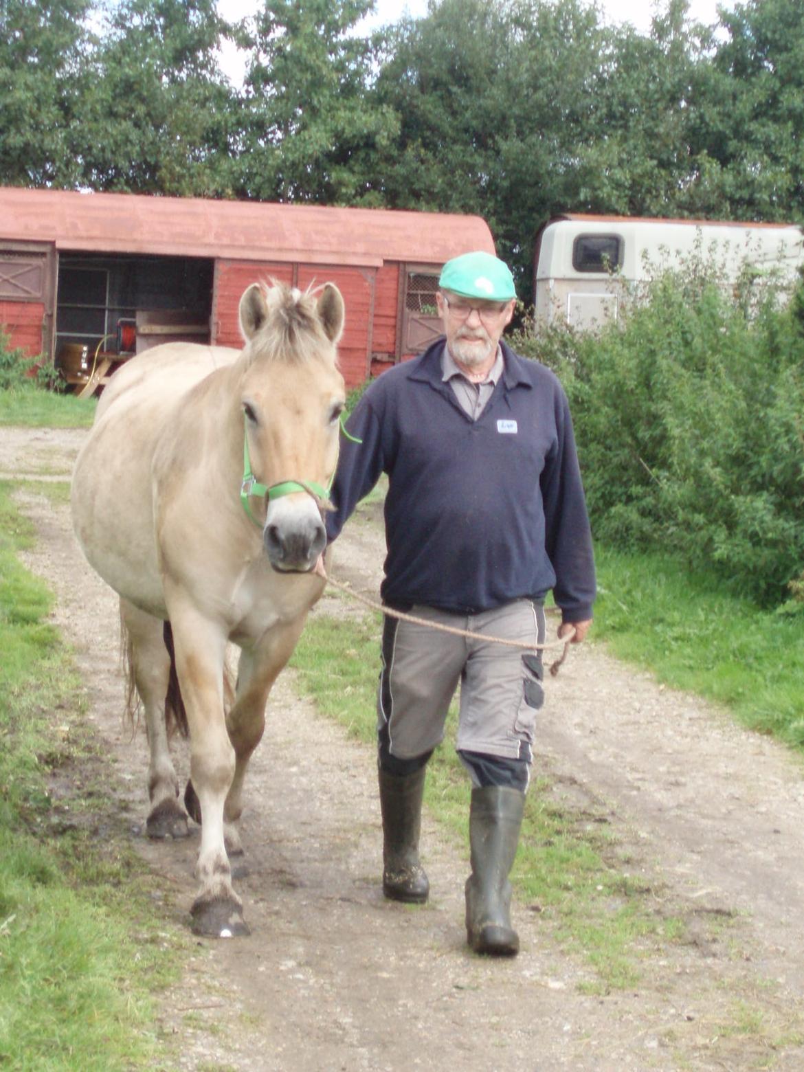 Fjordhest Søndervangs sofus - 2 herre på vej ud på Fold Sep. 17 billede 20