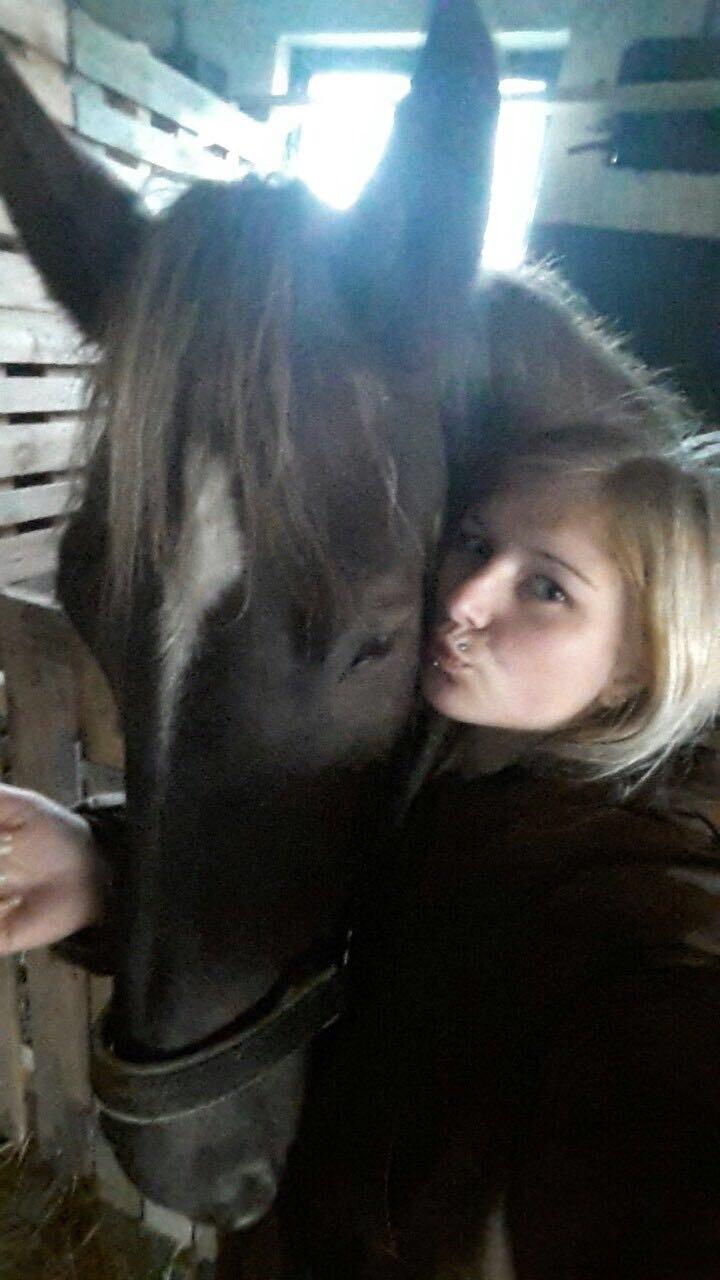 Anden særlig race Saksdals Olivia  billede 6