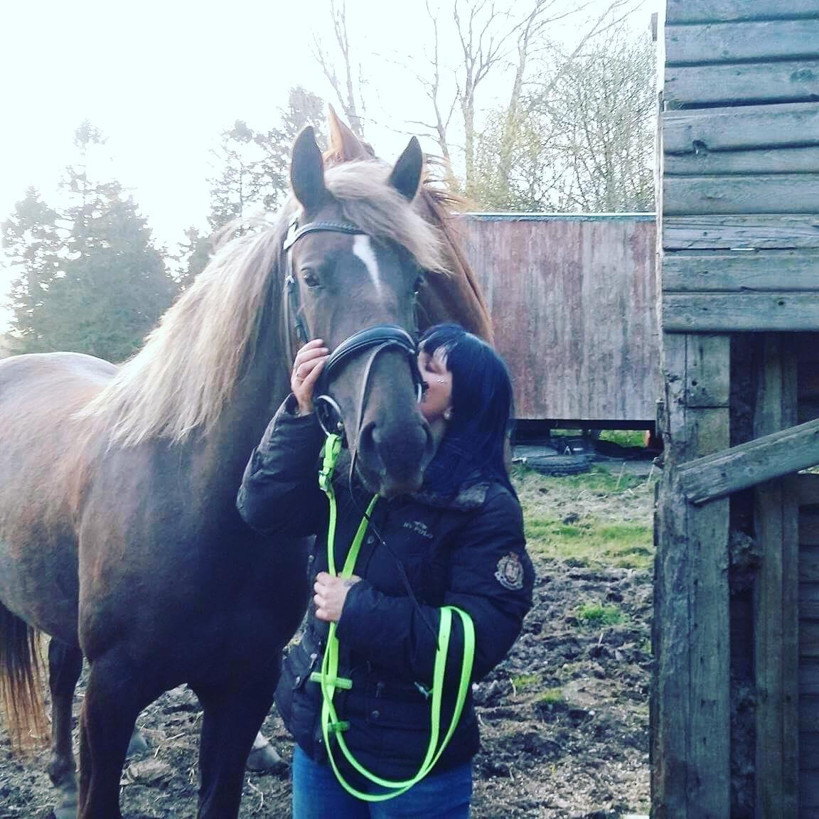 Anden særlig race Saksdals Olivia  billede 13