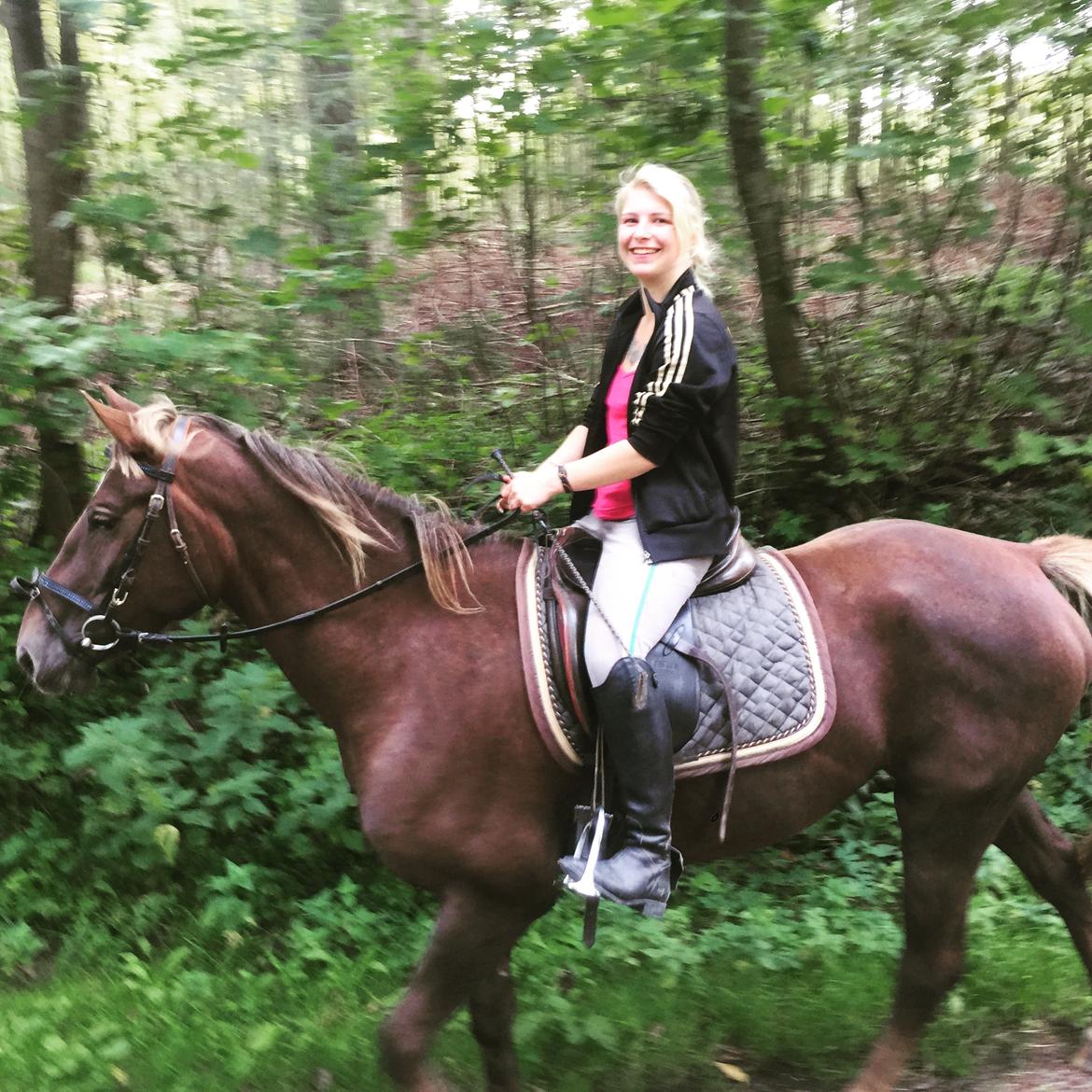 Anden særlig race Saksdals Olivia  billede 20