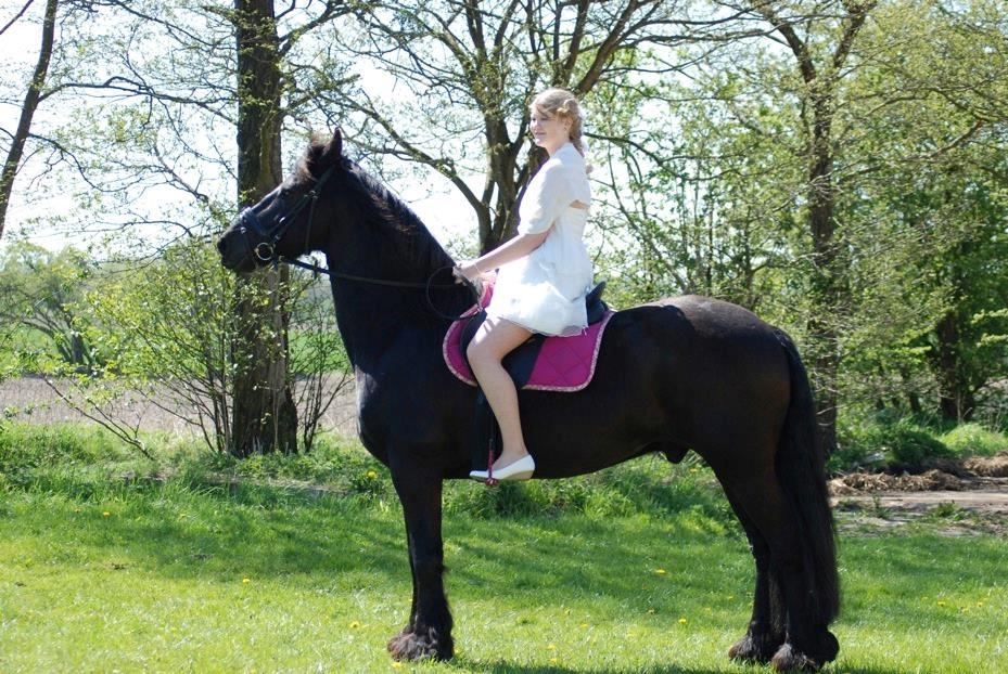 Frieser Taco fra sdr. vollum - Min konfirmation 2016 billede 8