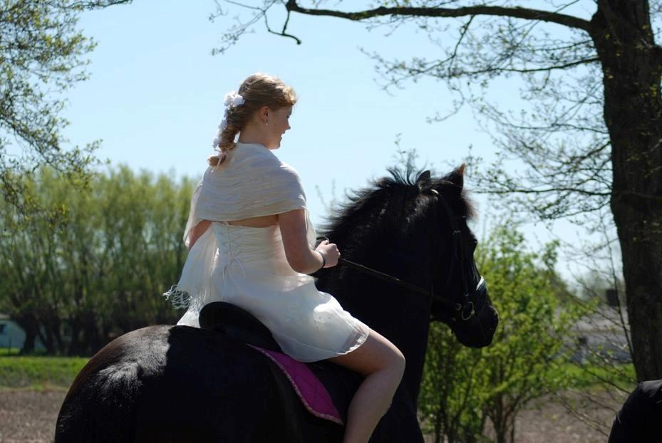 Frieser Taco fra sdr. vollum billede 9