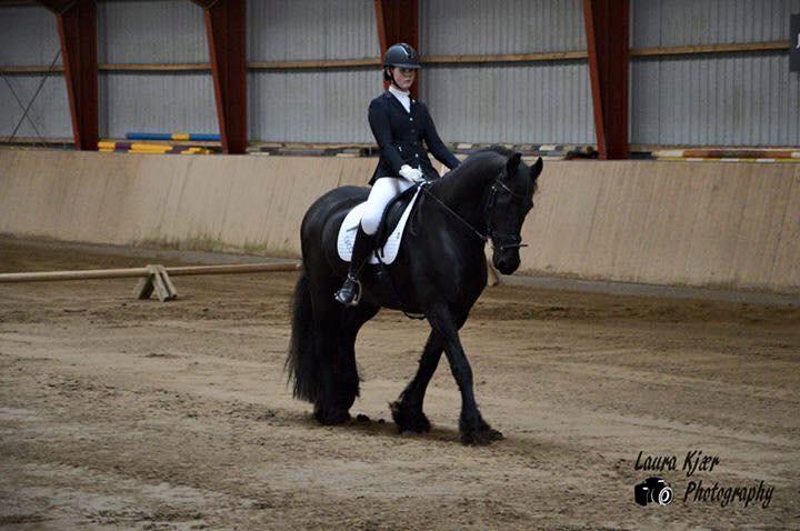 Frieser Taco fra sdr. vollum billede 4