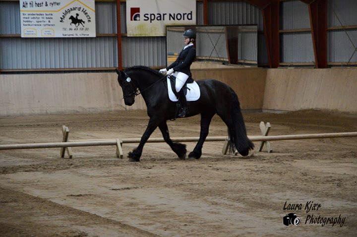 Frieser Taco fra sdr. vollum billede 3