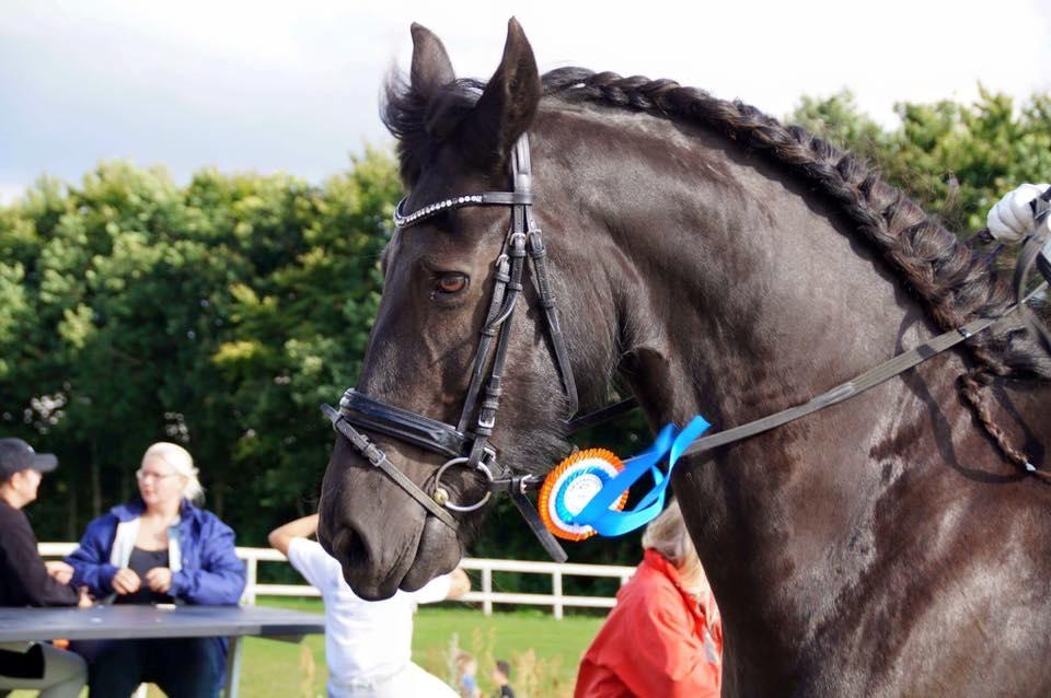Frieser Taco fra sdr. vollum - Mig og Tacos springstævne debut  billede 5