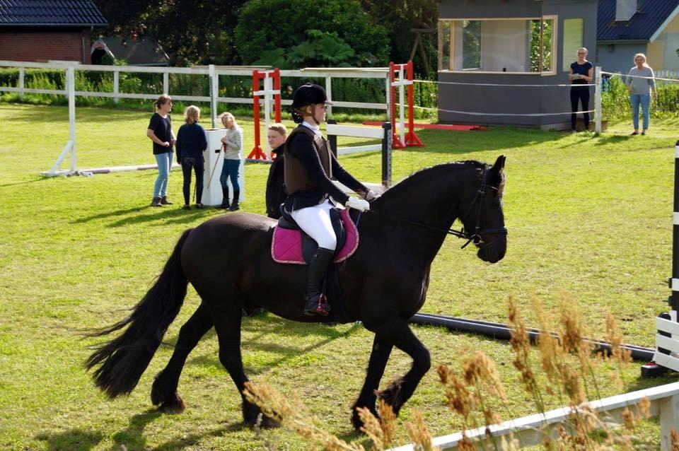 Frieser Taco fra sdr. vollum billede 6