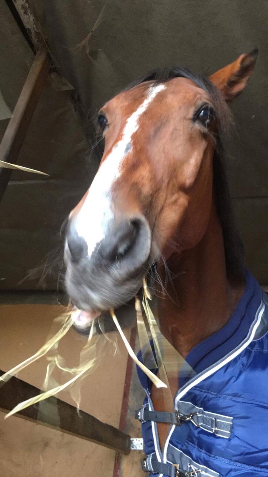 Traver Ja Post~Pub ( Popper ) billede 7