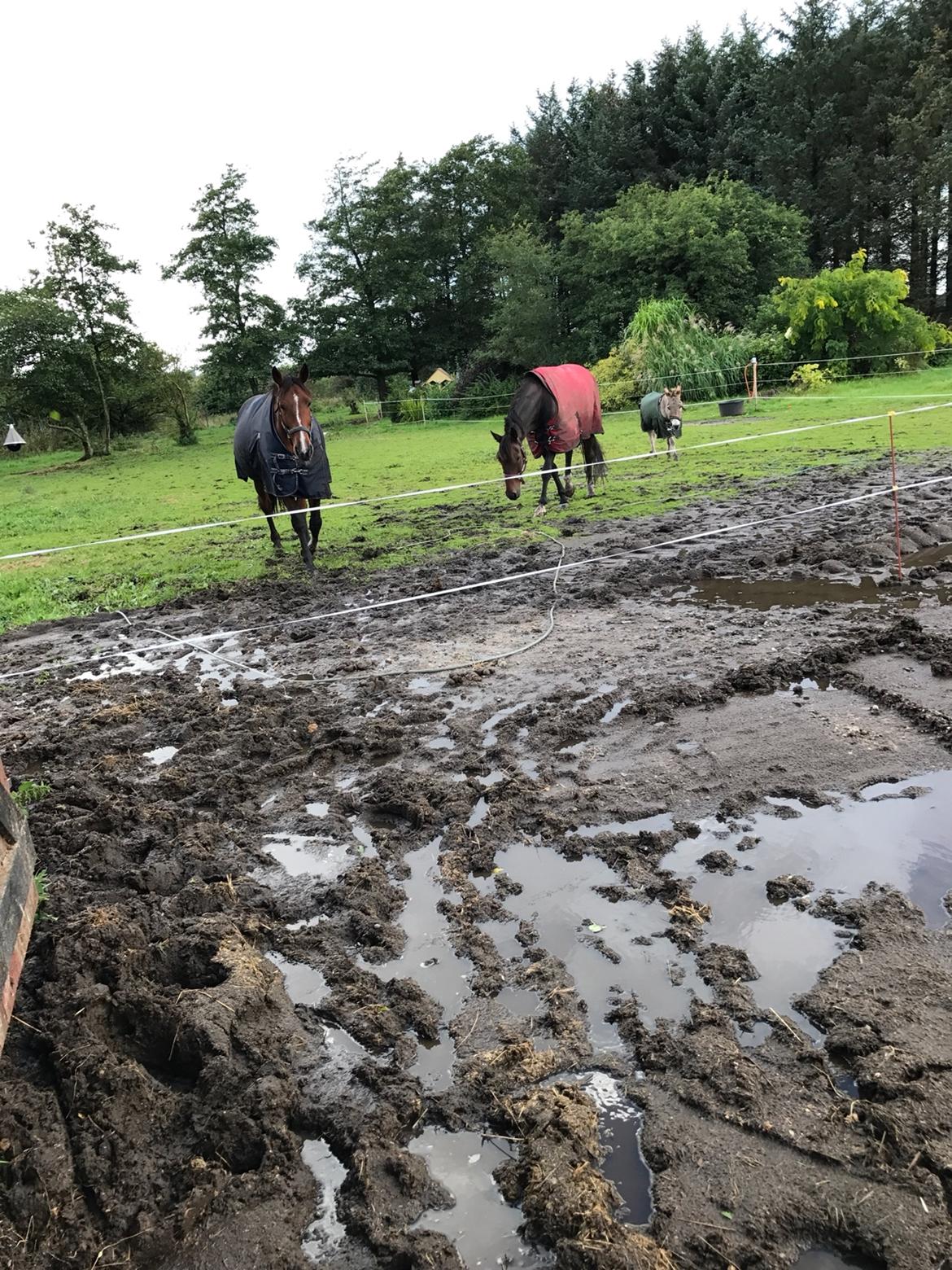 Traver Ja Post~Pub ( Popper ) billede 9