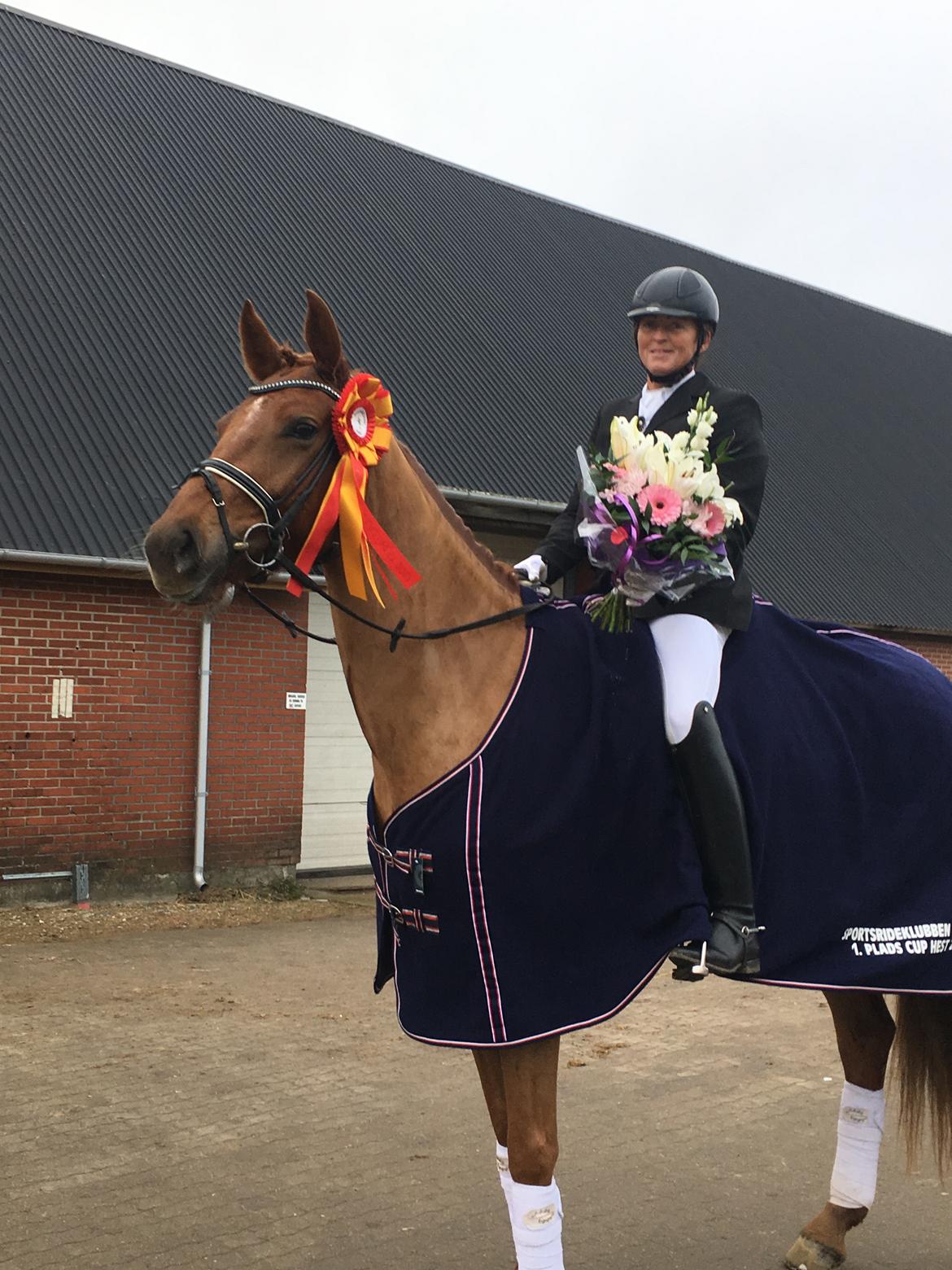 Dansk Varmblod Langagers Krack I Love It billede 14