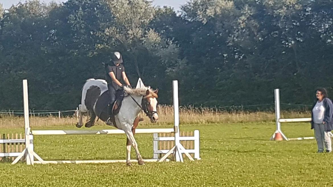 Anden særlig race Susan. (SAVNES!!!) - Første gang vi springer 80 billede 12