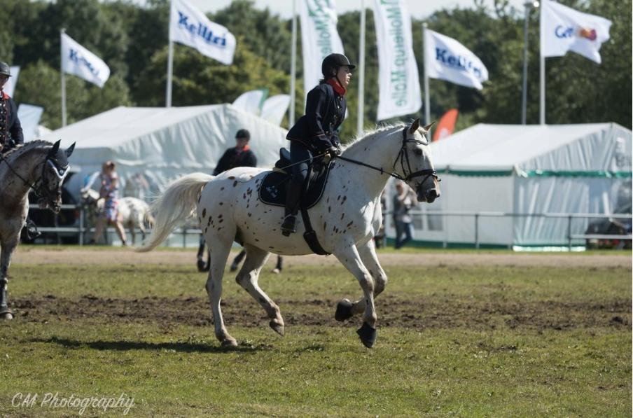 Knabstrupper Friis' Petrea billede 12