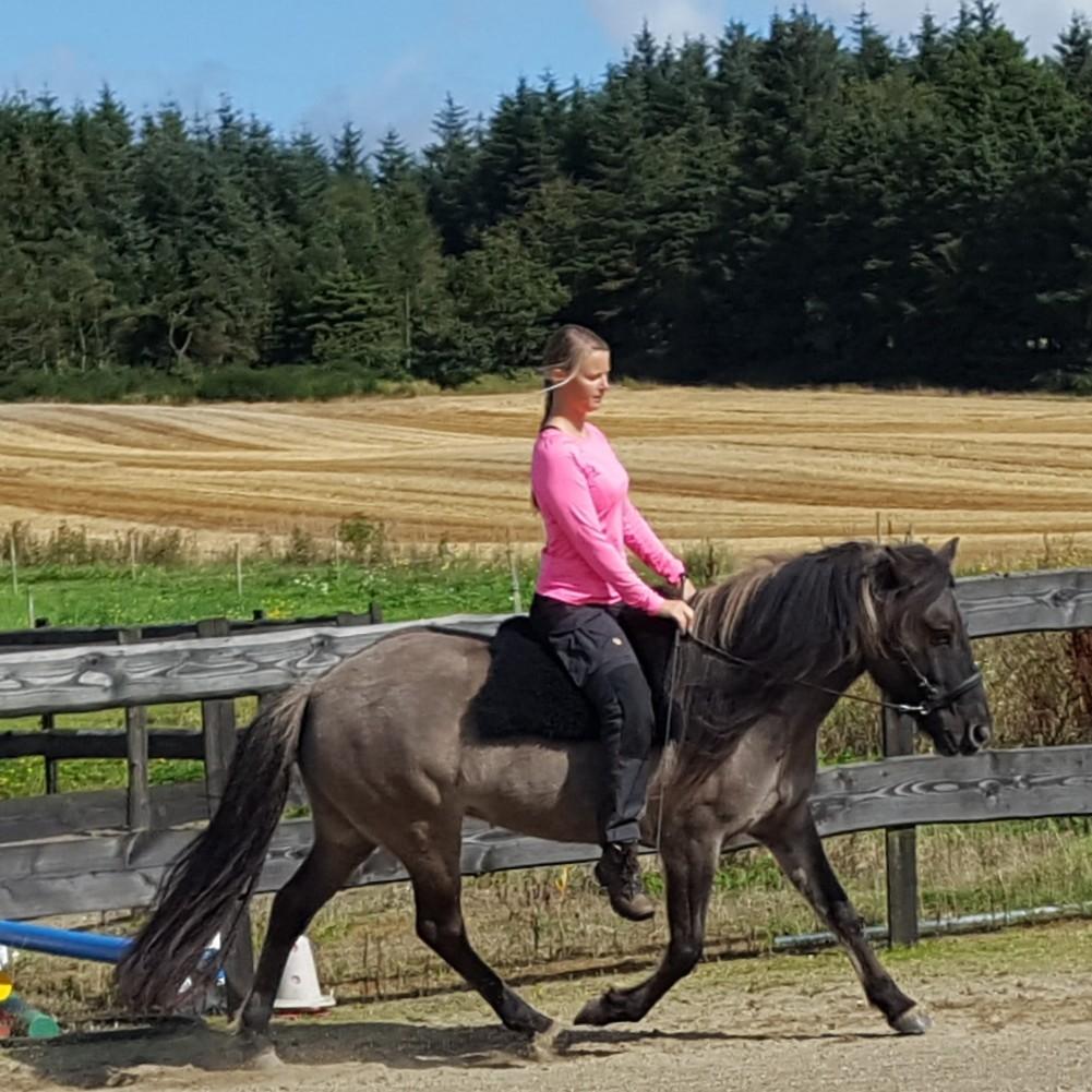 Islænder Sif frá Skarholt - Træning på banen september 2017 billede 18
