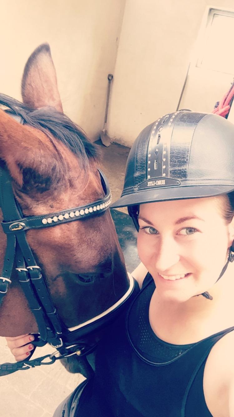 Dansk Varmblod Nymarkens Quark - Efter endt træning med en knald dygtig hest billede 5