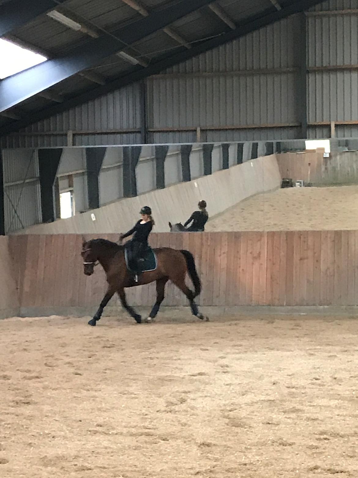 Dansk Varmblod Nymarkens Quark - Træning den 30. august 2017 billede 11