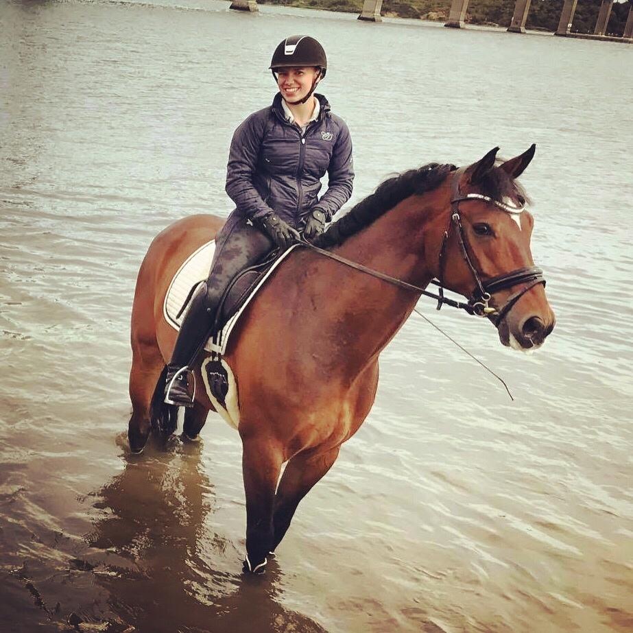 Dansk Varmblod Holmgårds le´mil billede 17