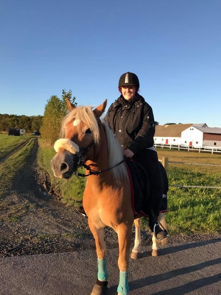 Anden særlig race Phillip (Fibse) billede 16