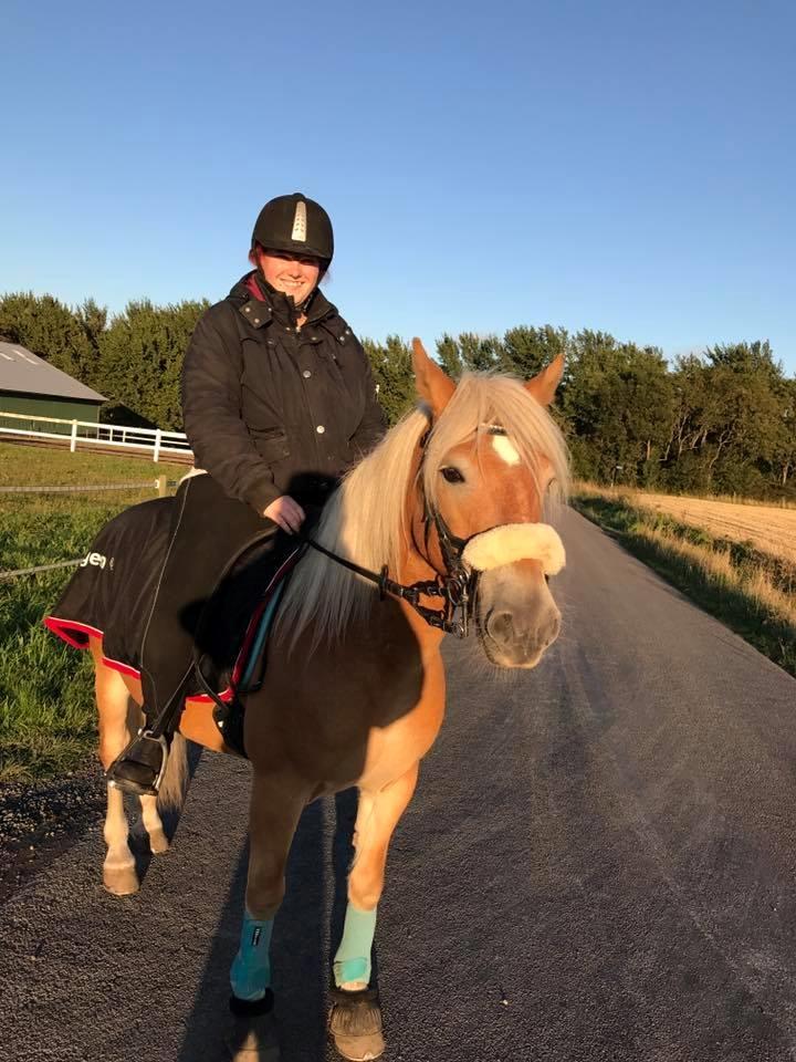 Anden særlig race Phillip (Fibse) billede 17