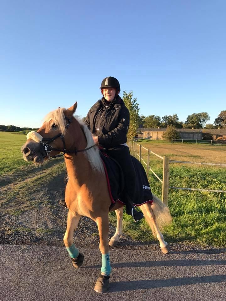 Anden særlig race Phillip (Fibse) billede 19