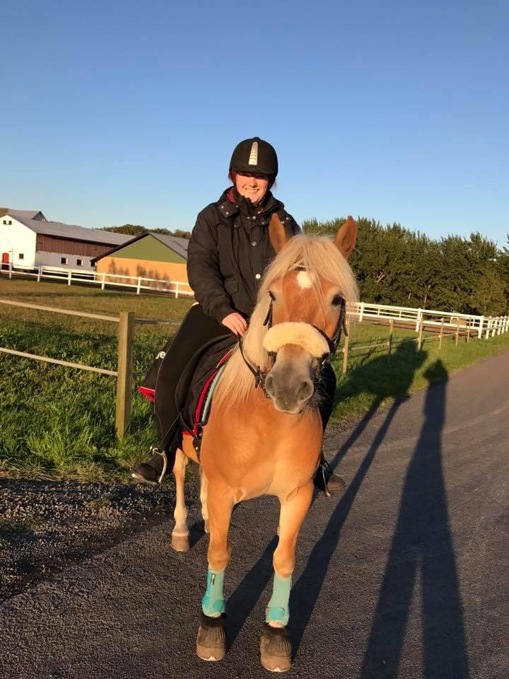 Anden særlig race Phillip (Fibse) billede 20