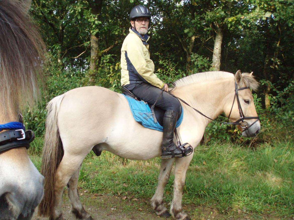 Fjordhest Søndervangs sofus - 5 uger efter vi fik Sofus 23 Sep. 17 billede 4