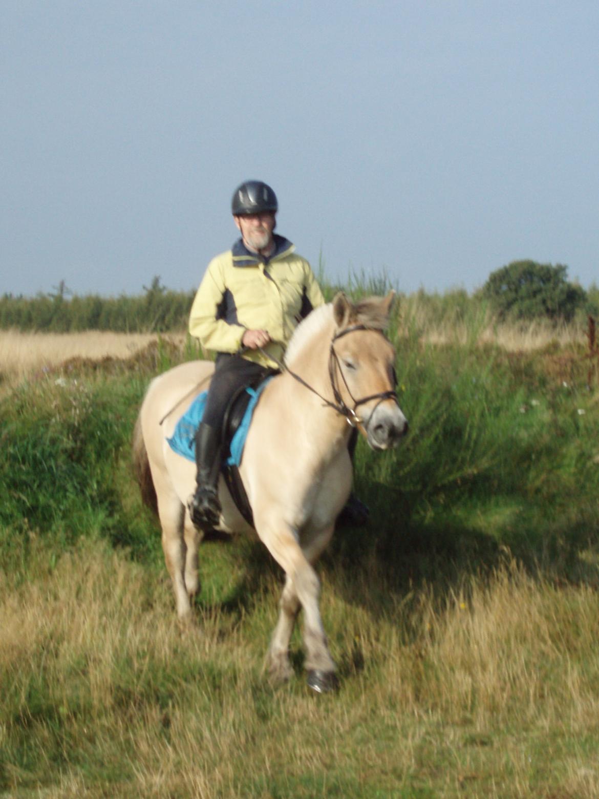 Fjordhest Søndervangs sofus - Ja de 2 styre bare  billede 6