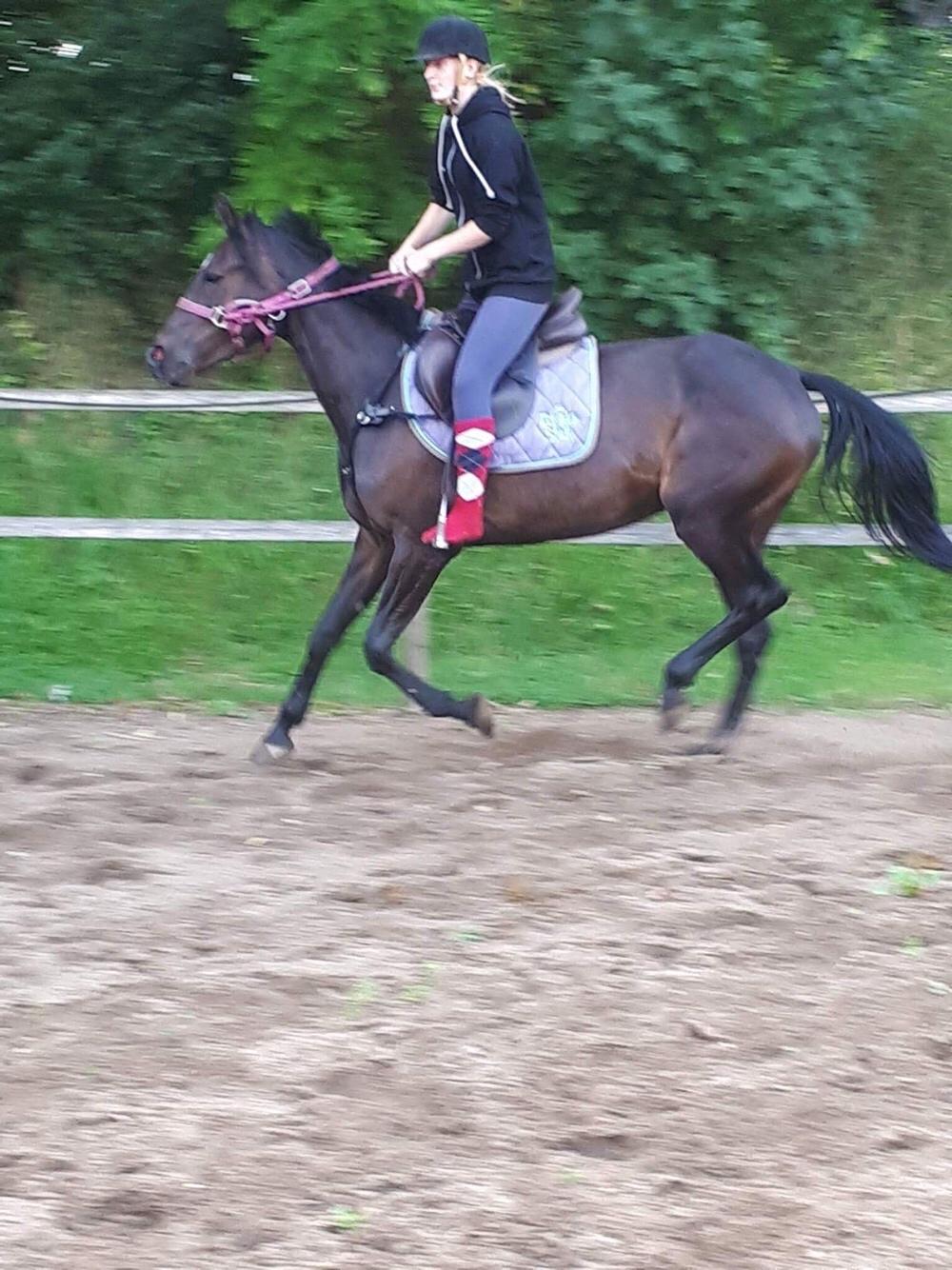 Traver Casiana r.m. billede 4