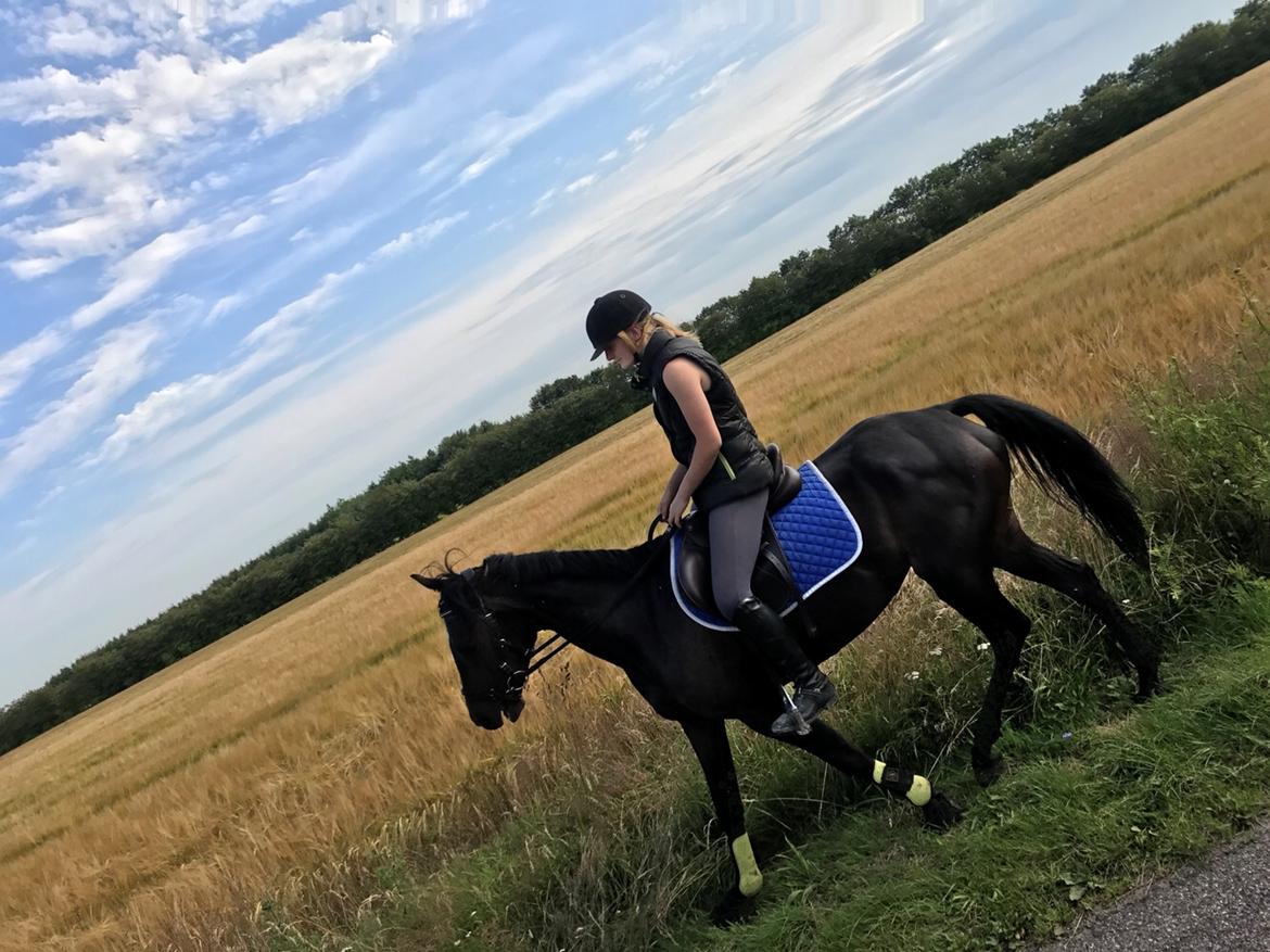 Traver Casiana r.m. billede 6