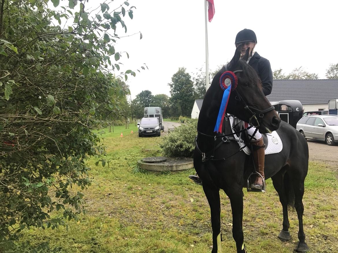 Traver Casiana r.m. billede 2