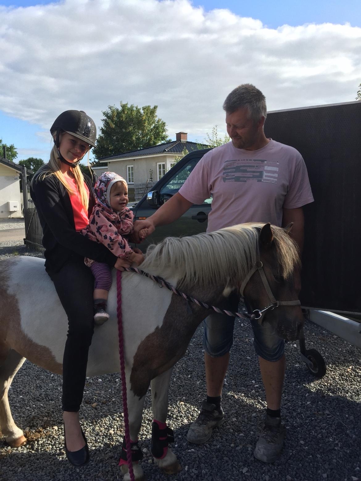 Anden særlig race Pixi billede 2