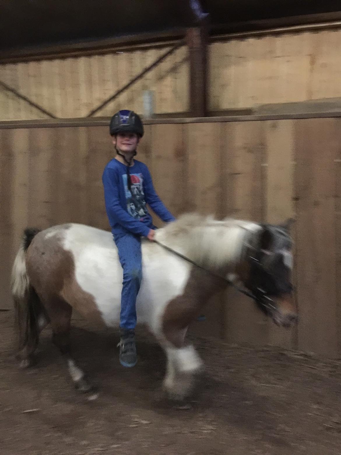 Anden særlig race Pixi billede 6