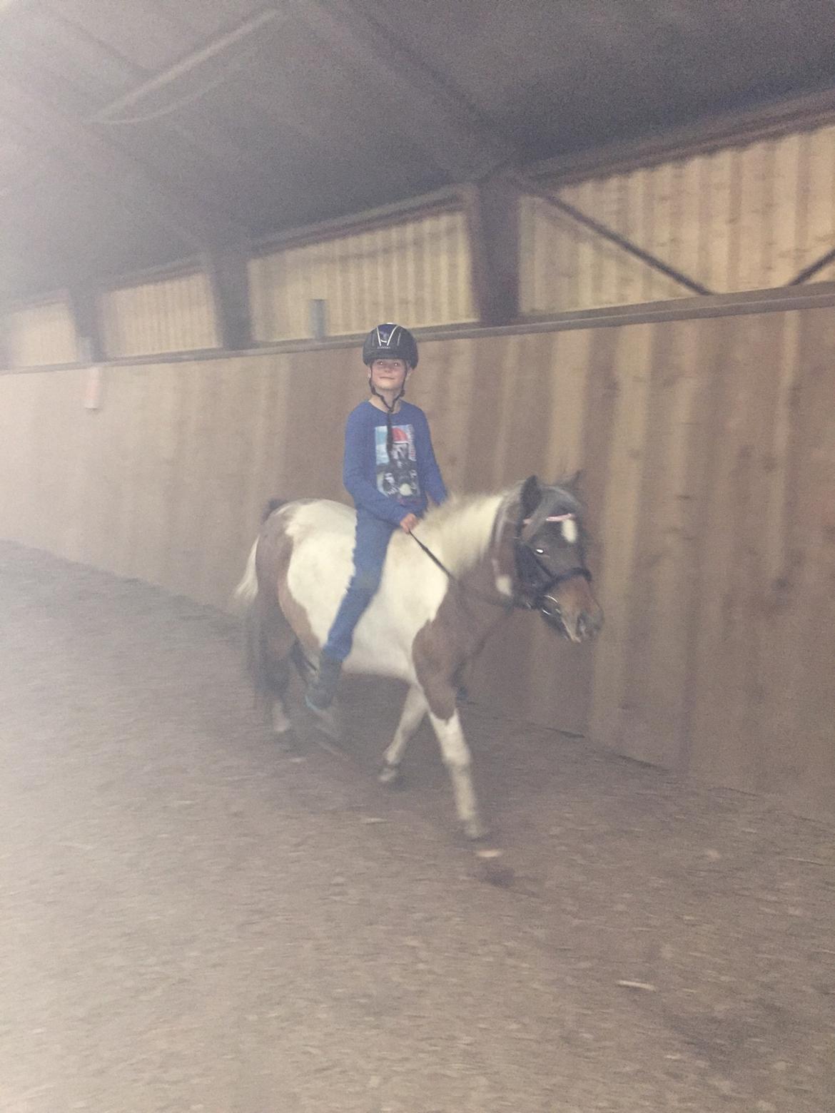 Anden særlig race Pixi billede 8