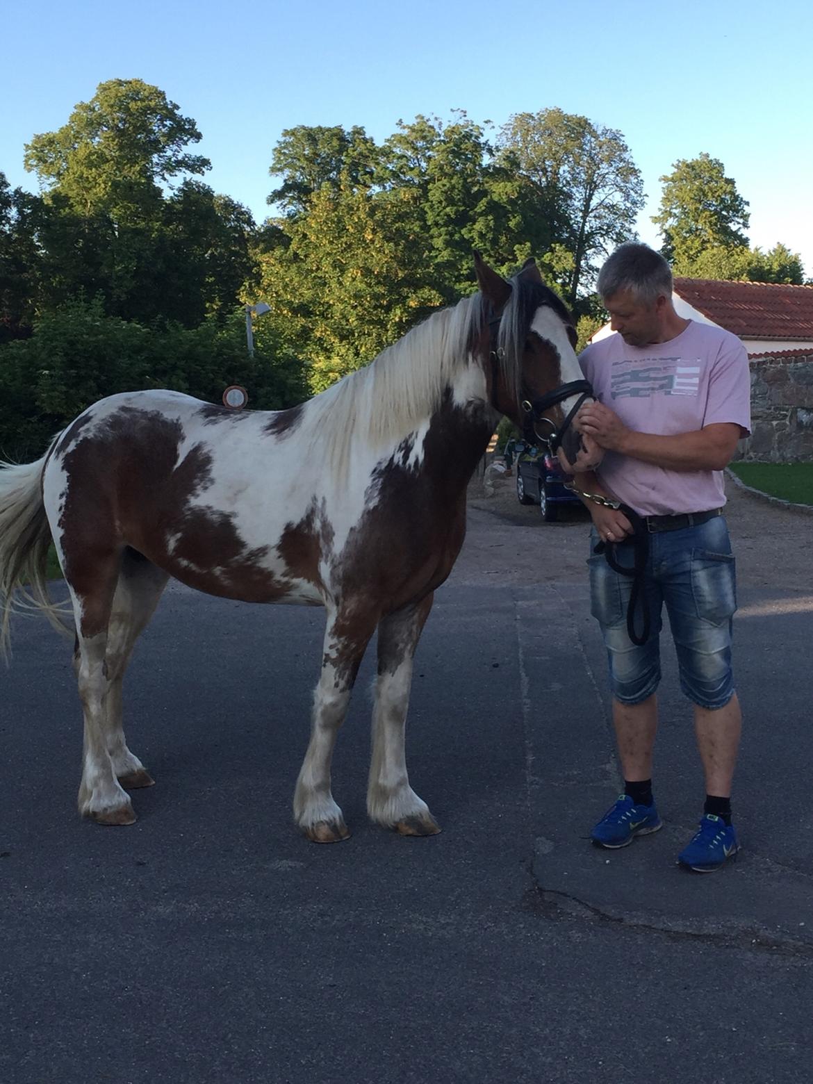 Tinker Jenny billede 2